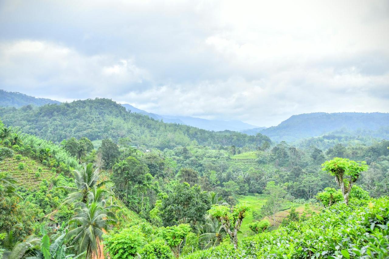 Rainforest Nature House Deniyaya Esterno foto