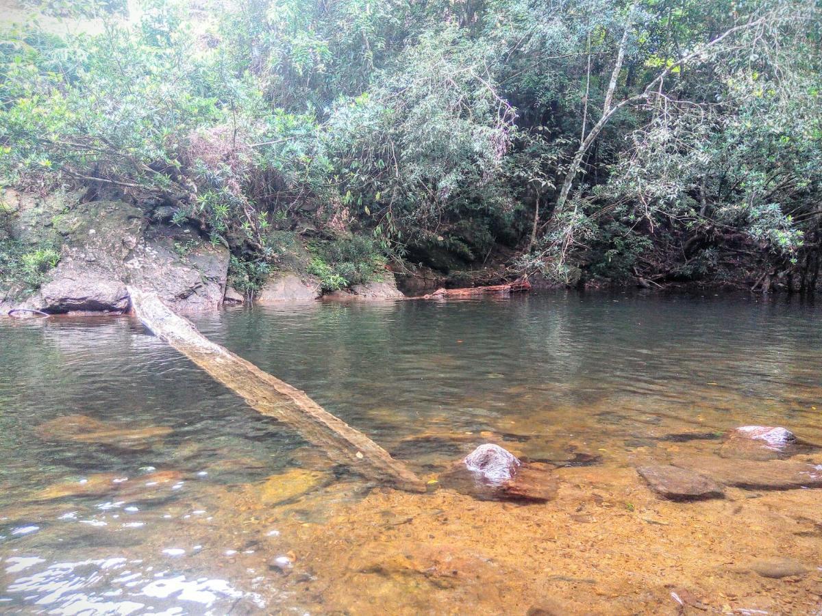 Rainforest Nature House Deniyaya Esterno foto
