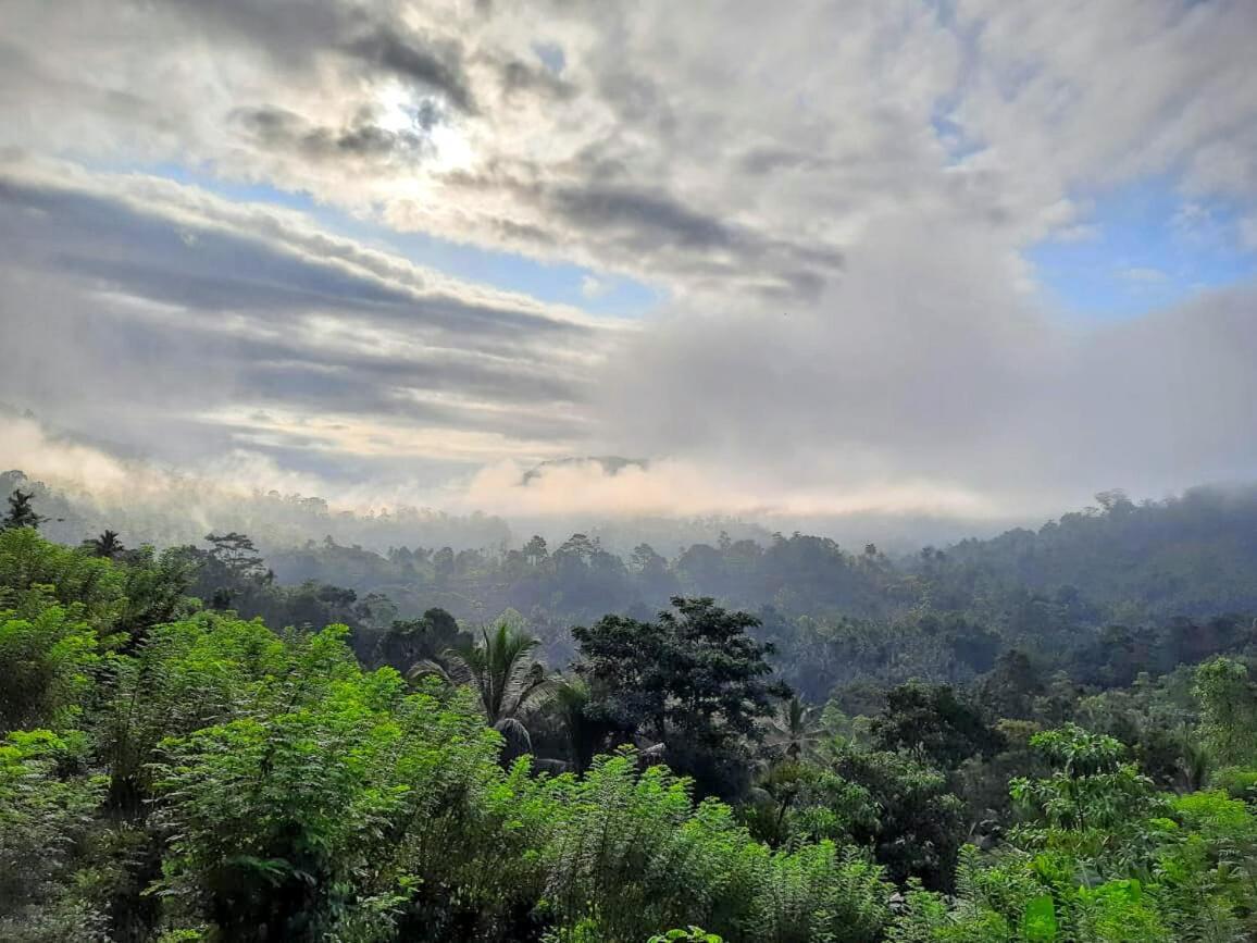 Rainforest Nature House Deniyaya Esterno foto