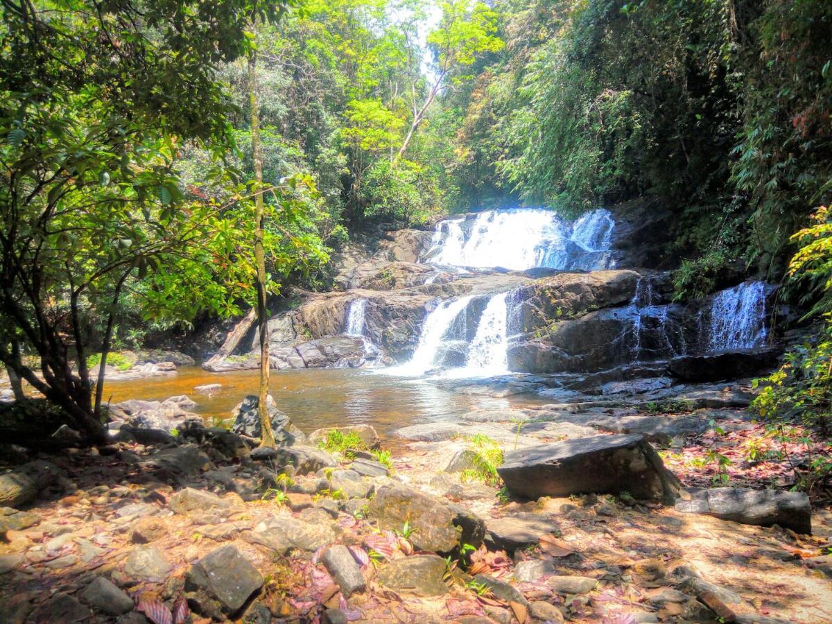 Rainforest Nature House Deniyaya Esterno foto